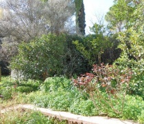 Λεπτομέρεια